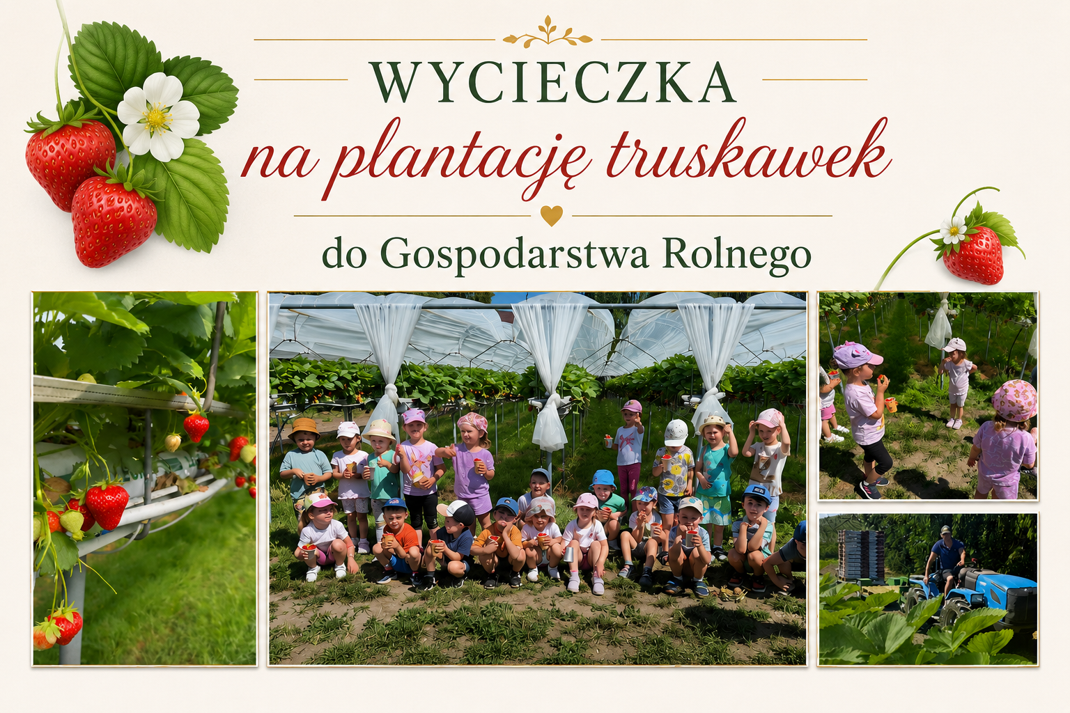 Wycieczka na&nbsp;plantację truskawek - Gr.XI Smerfy