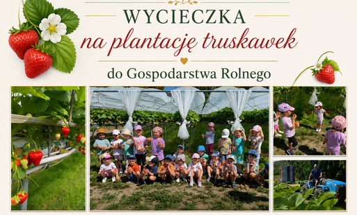 Wycieczka na plantację truskawek - Gr.XI Smerfy